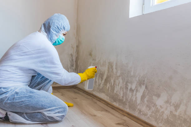 Bathroom Mold Removal assessment in Clifton bathroom